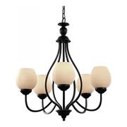 Trans Globe 5Lt Chandelier-Rob-Frosted Gla 70535 ROB